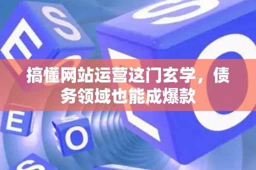 搞懂网站运营这门玄学，债务领域也能成爆款